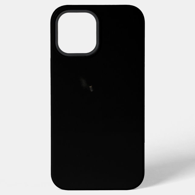 iPhone 12 Pro Max Hülle (Rückseite)