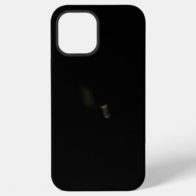 iPhone 12 Pro Max Hülle (Rückseite)