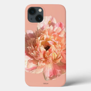 iPhone 13 Hülle