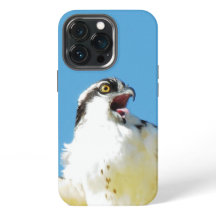 iPhone 13 Pro Screaming Osprey Fall