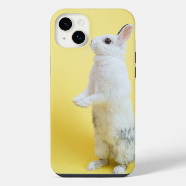 iphone 14 Hasen Hüllen plus  Hülle (Rückseite)