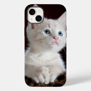 iPhone 14 Hüllen plus Katz-Liebe