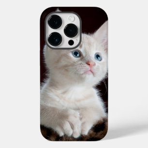 iphone 14 Hüllen pro cat Liebe