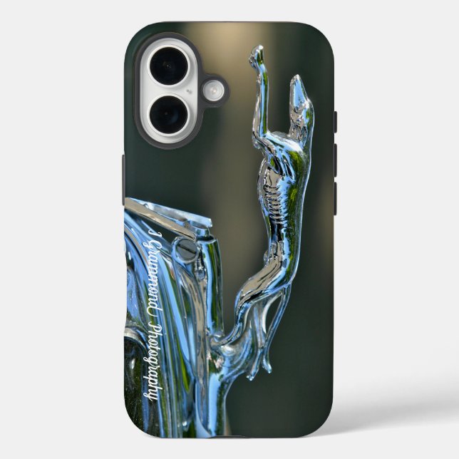 iPhone 16 Phone Case (Rückseite)