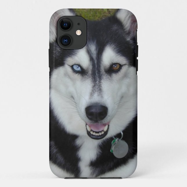 IPhone 5 Abdeckungs-sibirischer Husky Case-Mate iPhone Hülle (Rückseite)