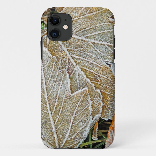 iPhone 5 Casemate Case für gefrorenes Ahorn (Rückseite)
