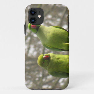 iPhone 5 Fall mit neugierigen Parakeets iPhone 11 Hülle