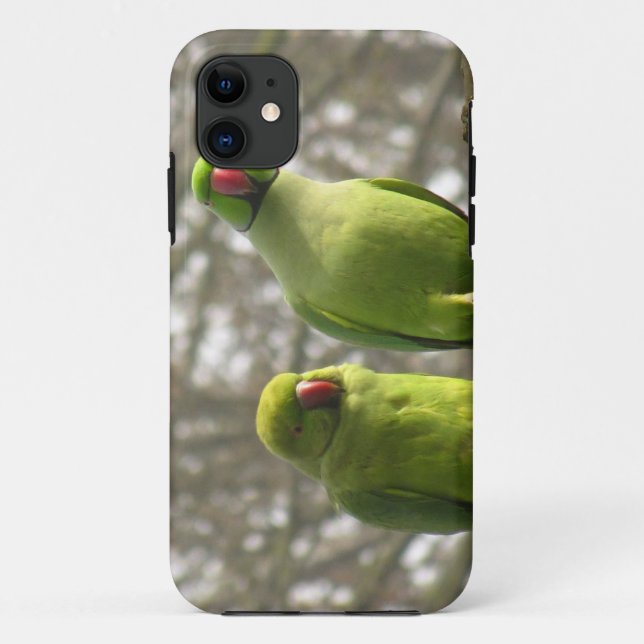 iPhone 5 Fall mit neugierigen Parakeets Case-Mate iPhone Hülle (Rückseite)