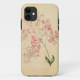 iPhone 5 Fall - Vintage Orchideenillustration 11 Hülle