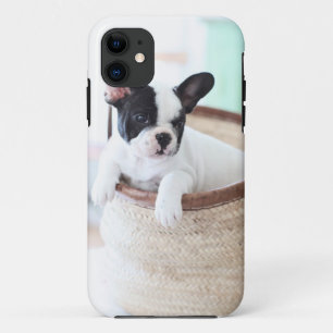 Iphone 5 französische Bulldogge Falles Case-Mate iPhone Hülle