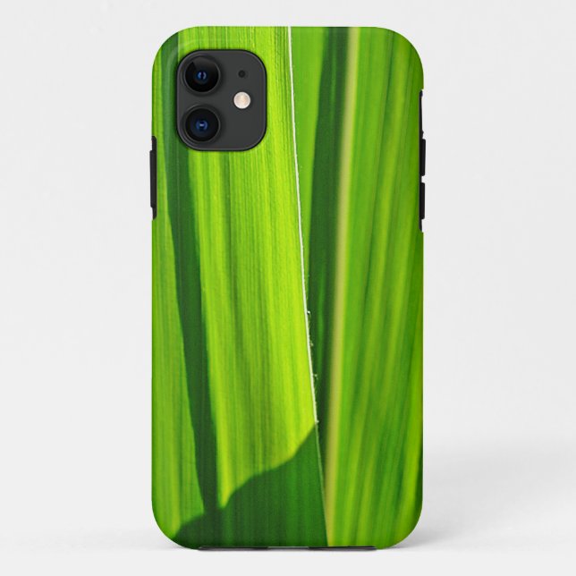 iPhone 5 Hülle grüne Maisblätter (Rückseite)