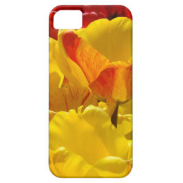 iPhone 5 Hüllen Geschenke Yellow Red Tulips Blume