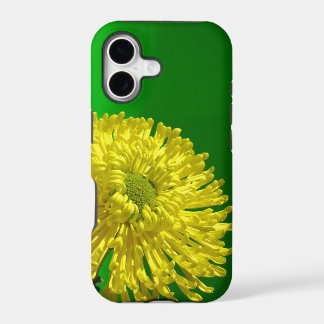iphone 5s Fall