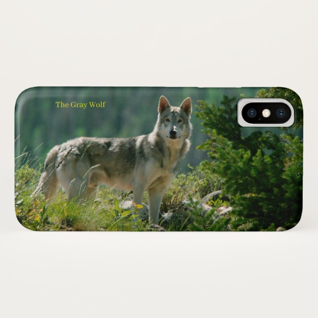 iPhone Case (Rückseite (Horizontal))