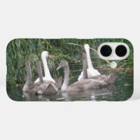 iPhone Case für Swans und Cygnets