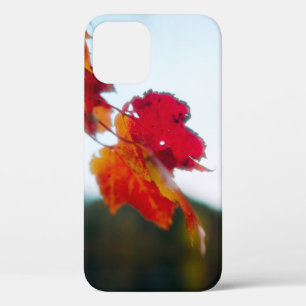 iPhone Case im Herbst Leaf