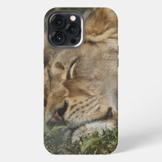 iPhone Case-Mate 13 Pro Max Hülle