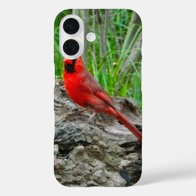 iPhone Case mit rotem Kardinal (Ohio) (Rückseite)