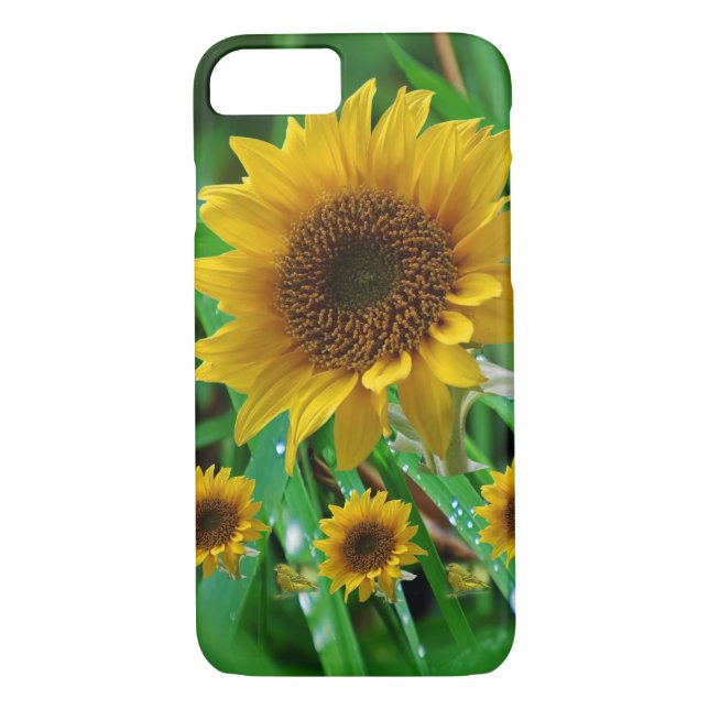 IPhone Fälle Sonnenblumen Case-Mate iPhone Hülle (Rückseite)