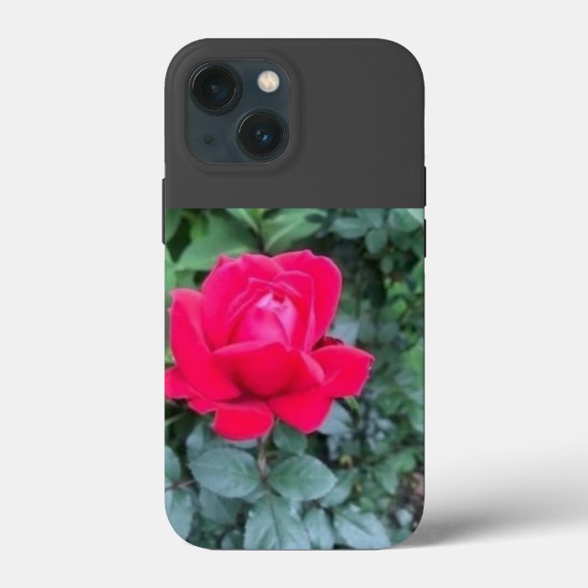 iPhone/iPad-Gehäuse Case-Mate iPhone Hülle (Rückseite)