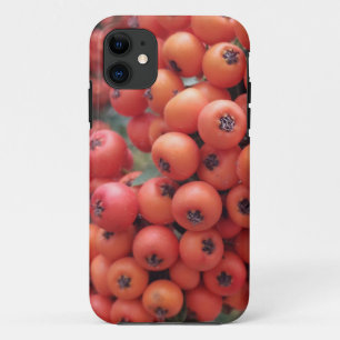 iPhone/iPad-Gehäuse Case-Mate iPhone Hülle