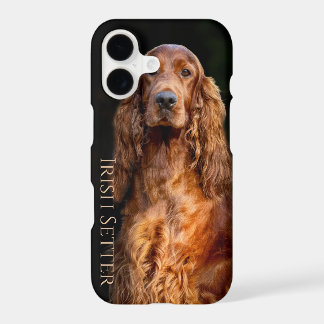 iPhone/iPad-Gehäuse des irischen Setter