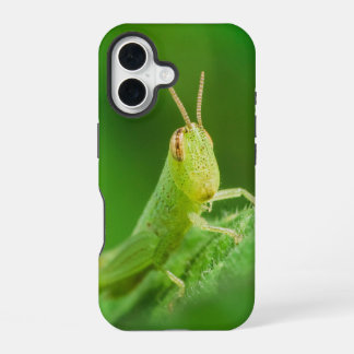 iPhone / iPad-Hülle 16 Hülle