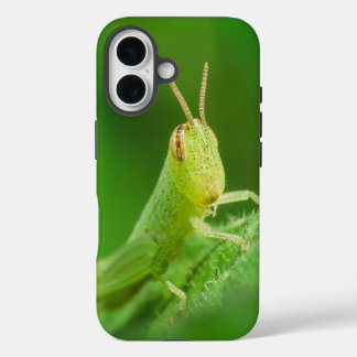 iPhone / iPad-Hülle 16 Hülle