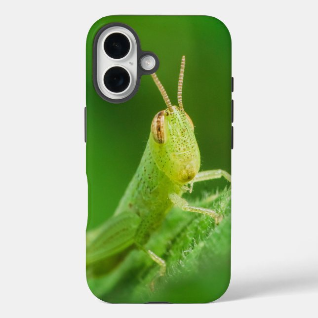 iPhone / iPad-Hülle Case-Mate iPhone Hülle (Rückseite)