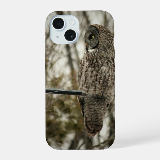 Iphone/iPad-Hülle mit süßem Eulen-Design iPhone 15 Hülle (Rückseite)