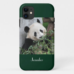 iPhone SE/5/5s Case Giant Panda Grüner Hintergrund