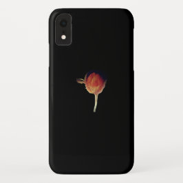 iPhone x Case-Mate iPhone Gehäuse Case-Mate iPhone Hülle