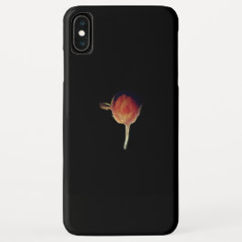 iPhone x Case-Mate iPhone Gehäuse Case-Mate iPhone Hülle