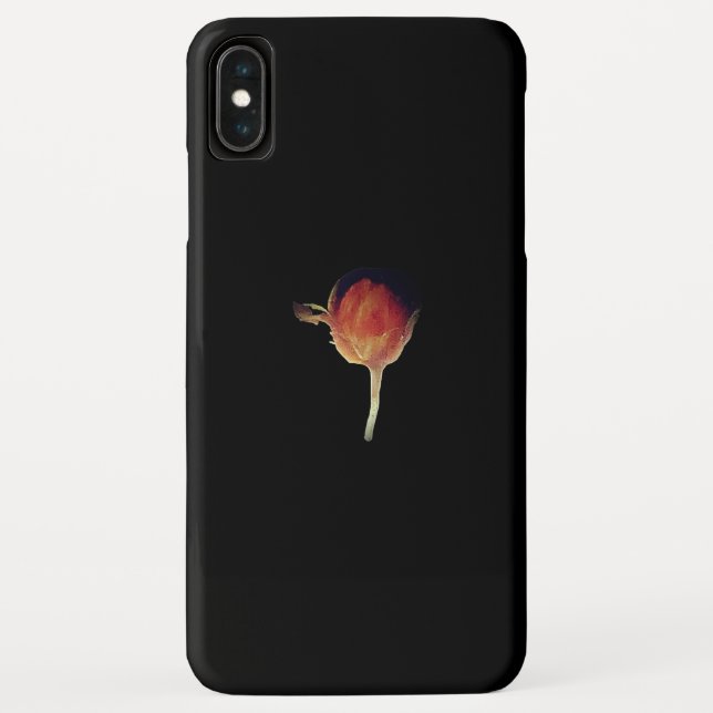 iPhone x Case-Mate iPhone Gehäuse Case-Mate iPhone Hülle (Rückseite)