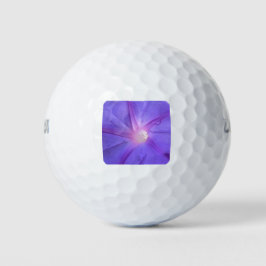 Ipomée Golfball