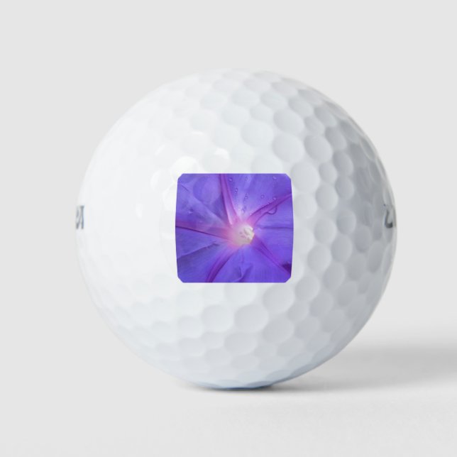Ipomée Golfball (Vorderseite)