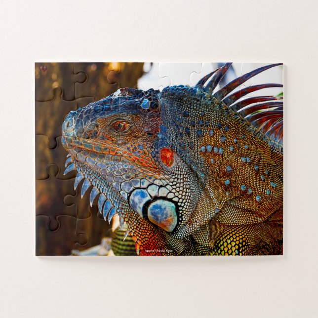 Iquana Florida Keys Puzzle (Horizontal)