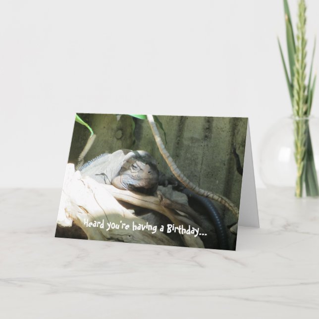 Iquana Geburtstags-Wünsche Karte (Vorderseite)