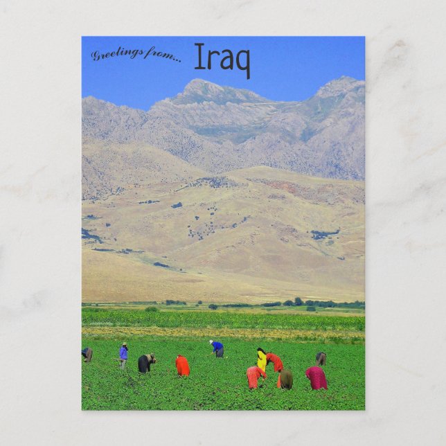 irakische kurdische Dorfbewohner im Irak Postkarte (Vorderseite)