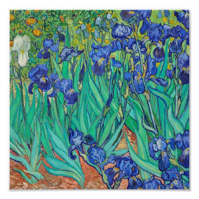 Ire (1889) von Vincent Van Gogh. Fotodruck (Vorne)