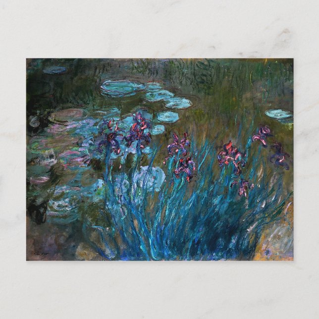 Ire und Water Lilies Postkarte (Vorderseite)