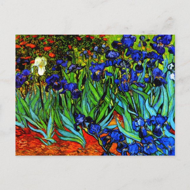 Ire, Van Gogh's berühmtes Blumenbild Postkarte (Vorderseite)