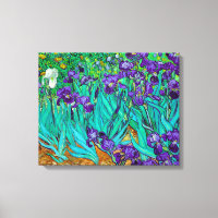 Ire, Vincent van Gogh