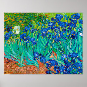 Ire, Vincent van Gogh Poster