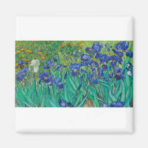 Ire von Vincent van Gogh Magnet