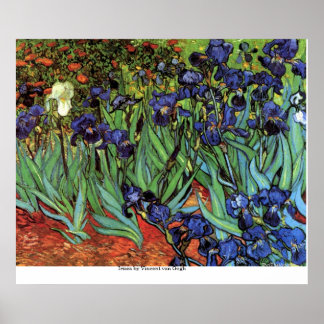 Ire von Vincent van Gogh Poster
