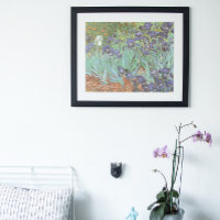 Ire von Vincent van Gogh