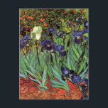 Ire von Vincent van Gogh, Vintag Garden Art Postkarte<br><div class="desc">Ire (1889) von Vincent van Gogh ist ein Vintages, kunstvolles Post-Impressionismus Landschaftsbild mit Blumengarten mit lila bärtigen Reisen, die von Orangenpfeifen wachsen. An der Kante blüht eine weiße Iris-Blume des Single. Über den Künstler: Vincent Willem van Gogh (1853-1890) war einer der berühmtesten postimpressionistischen Maler seiner Zeit. Seine Arbeit war besonders...</div>