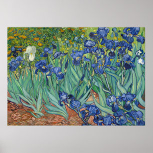 Iren von Van Gogh Poster Print