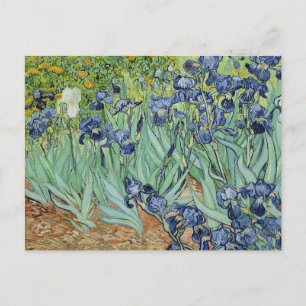 Iren von Van Gogh Postkarte
